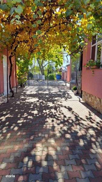 Casa tarian plus spatiu comercial - Imagine principală: 4/8