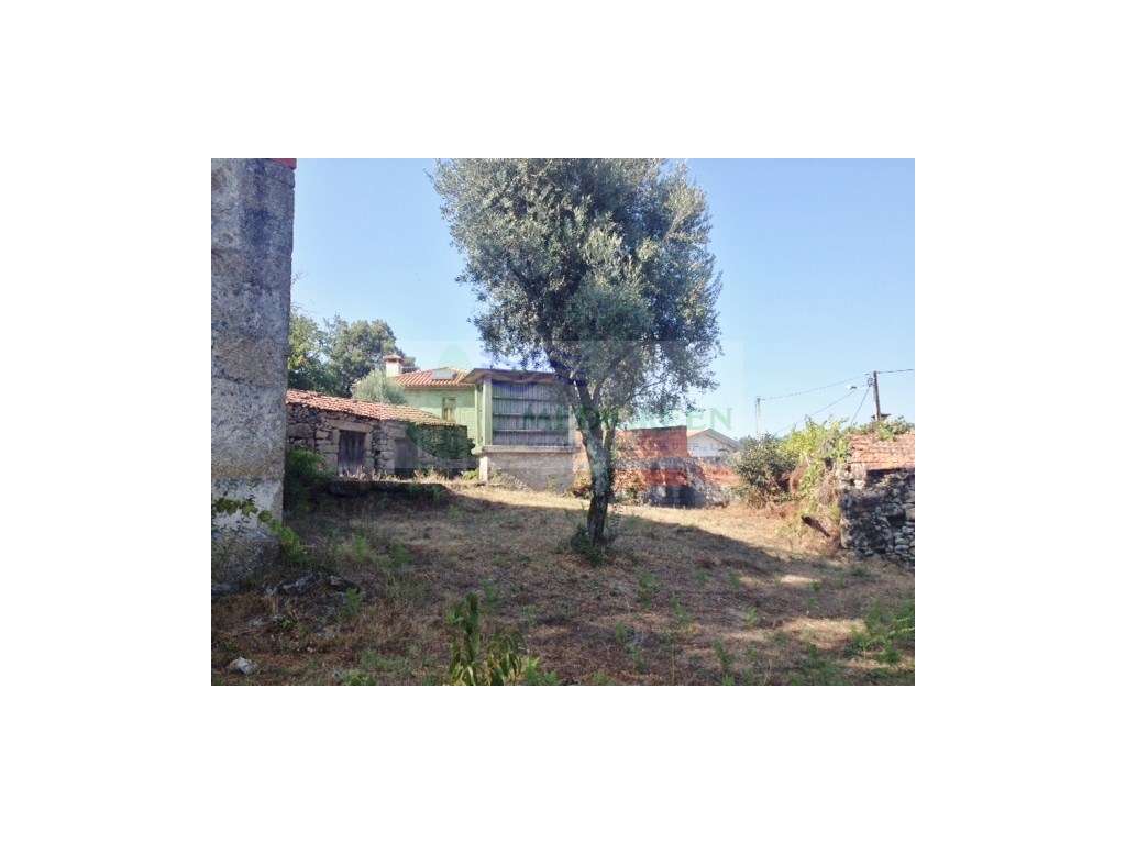 QUINTINHA | COUTO DE ESTEVES - Grande imagem: 5/14