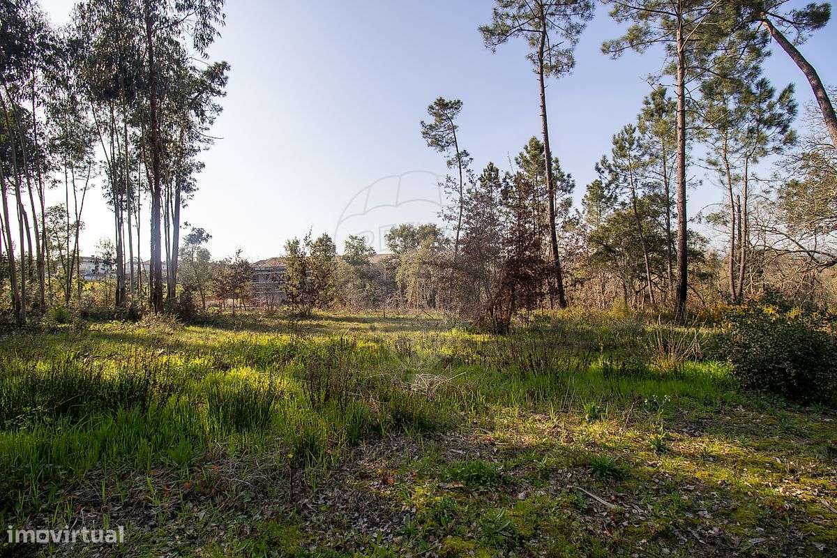 Terreno  para venda-6