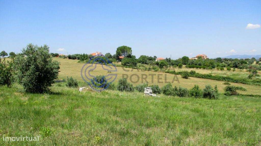 Terreno para construção junto da cidade de Tomar no Centro de Portugal - Grande imagem: 5/16