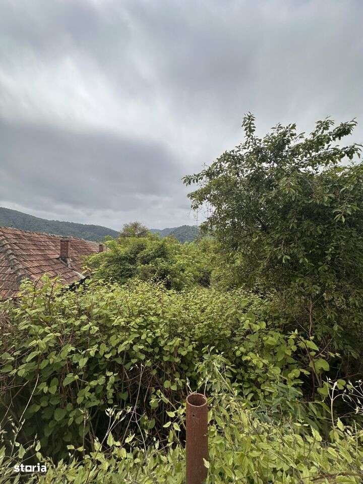 teren intravilan - Piatra Neamt - Sarata - Imagine principală: 5/6