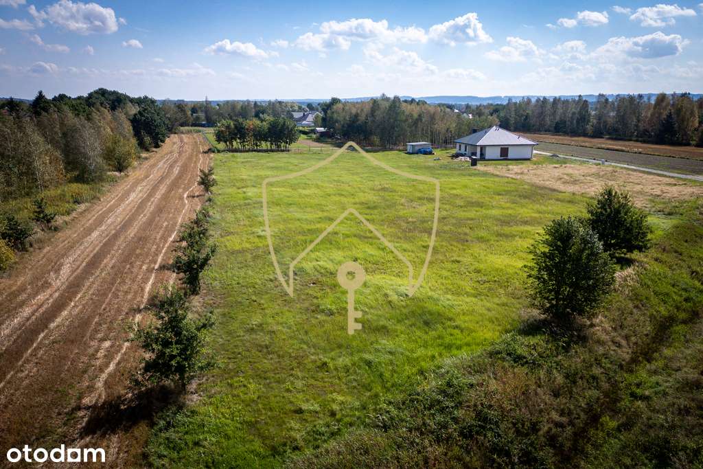 Działki w otoczeniu lasu - Pełny obrazek: 5/7