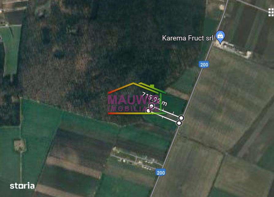 Vand sau inchiriez teren intravilan cu PUZ Stefanesti- Dascalu. - Imagine principală: 1/2