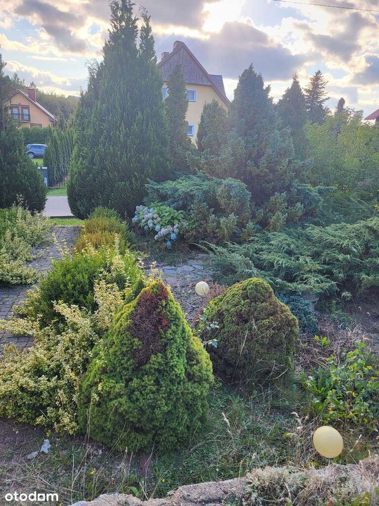 Dom całoroczny, wolnostojący  Klukowa Huta-13