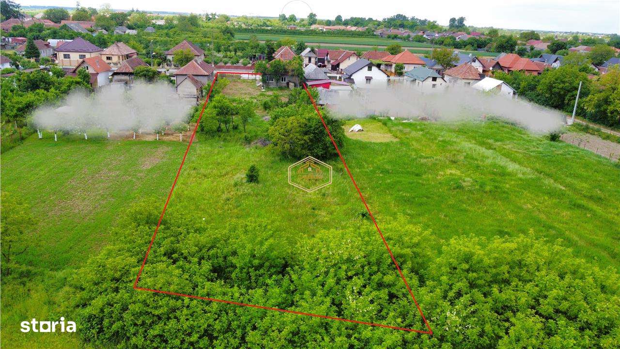 Casa cu teren intravilan de 2.211 mp | Centru, comuna Apa - Imagine principală: 5/15