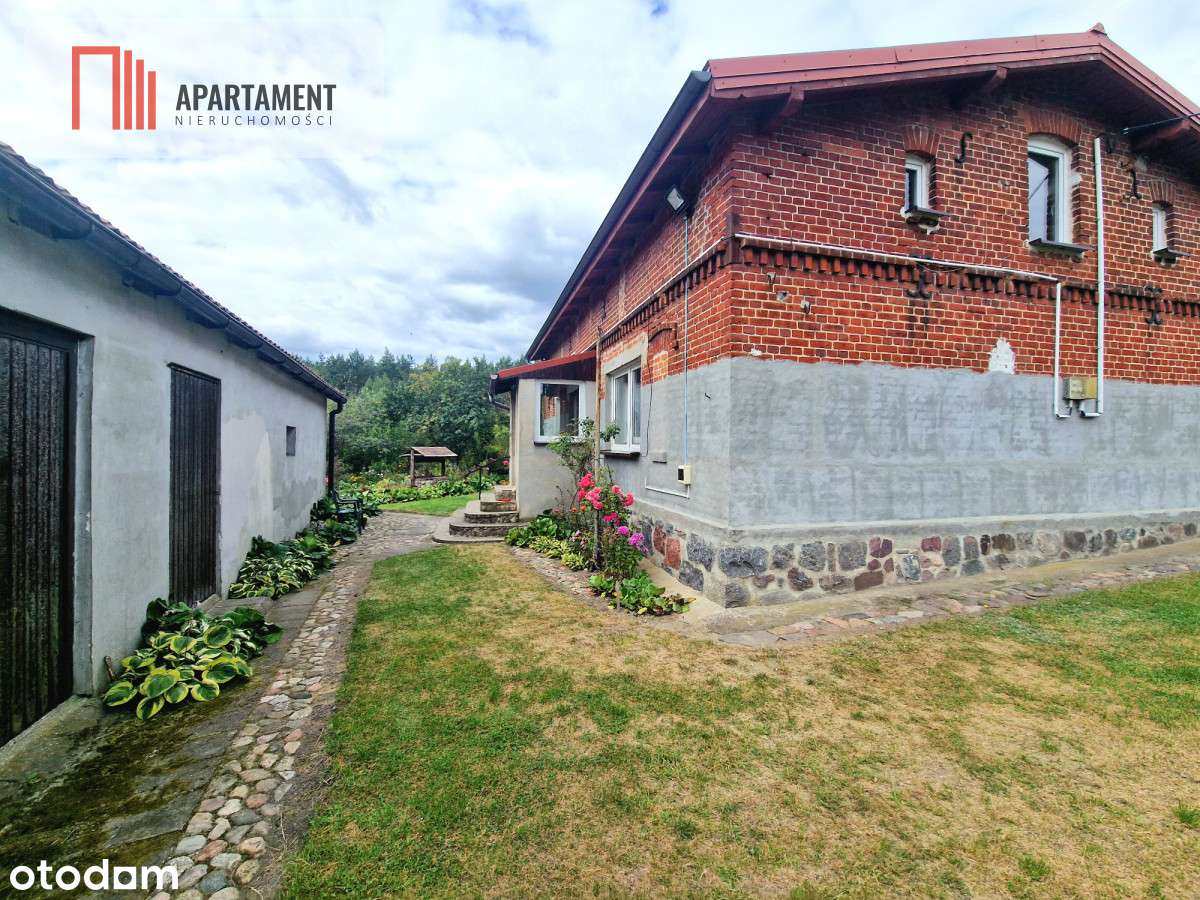 Siedlisko w Borach Tucholskich przy lesie! Staw! - Pełny obrazek: 5/16