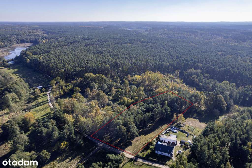 Las na własność, dom na wyłączność!-5