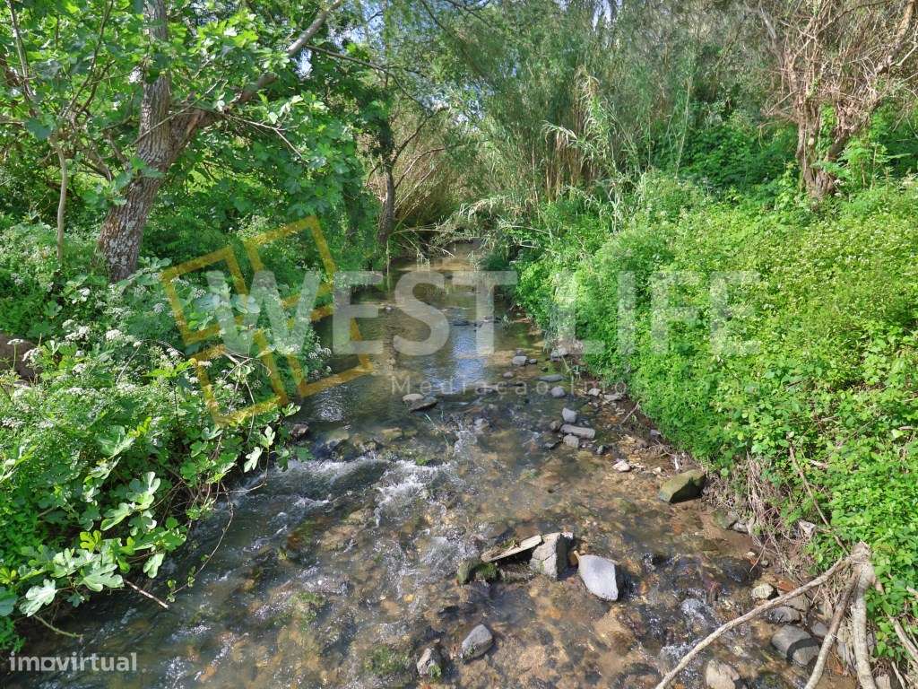 Terreno Rústico com 1187m2 - Junto a Rio - Boa exposição solar - EX... - Grande imagem: 5/10