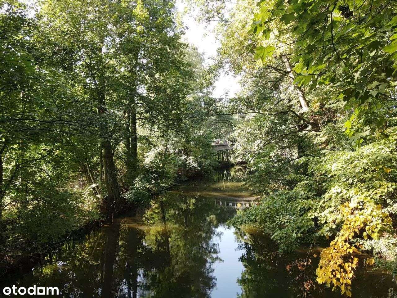 Działka + teren rekreacyjny nad Kanałem Elbląskim!-10