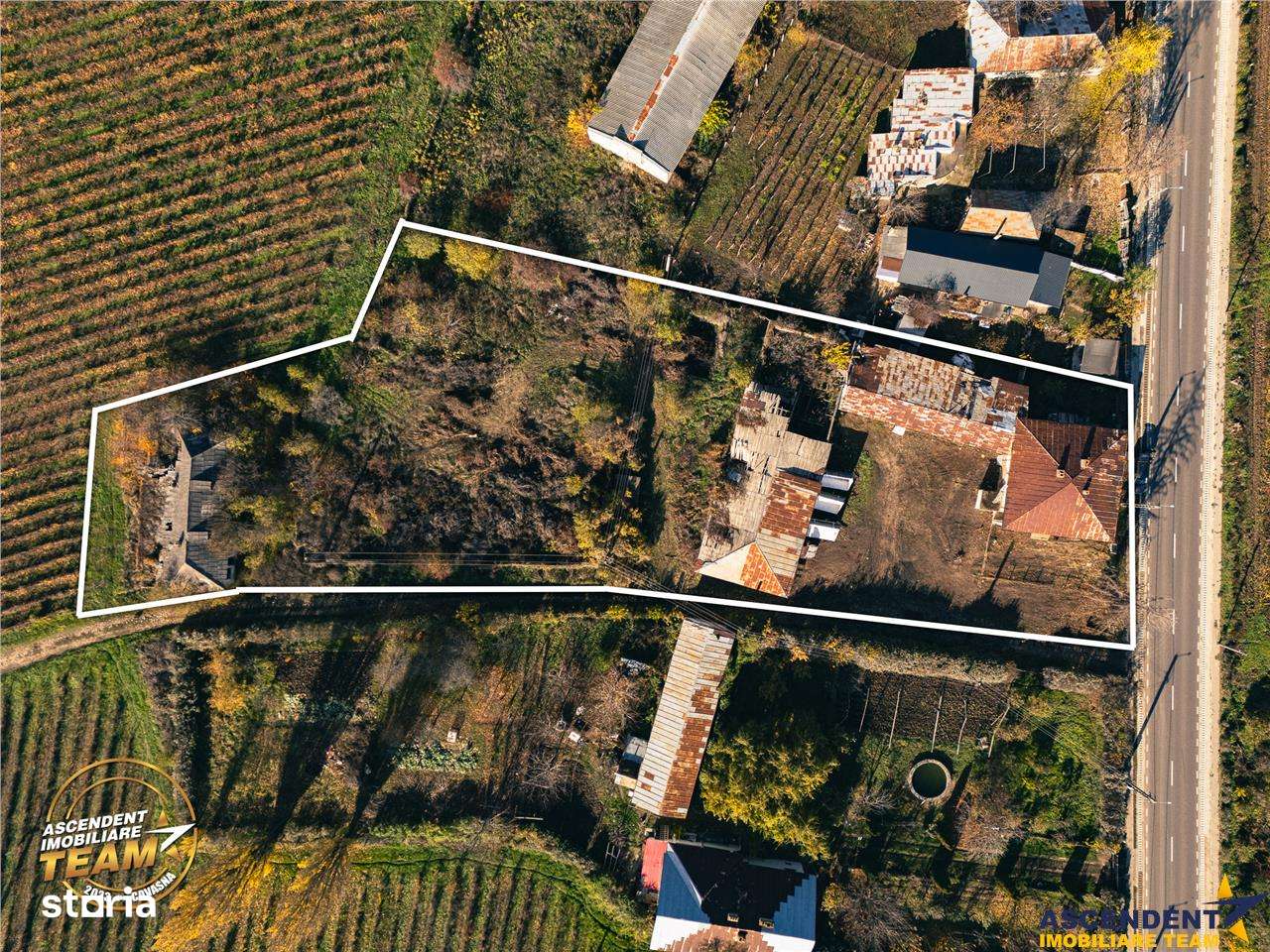 FILM! Domeniu de 4.000 mp intravilan+ casa boiereasca autentica,in pod - Imagine principală: 2/20