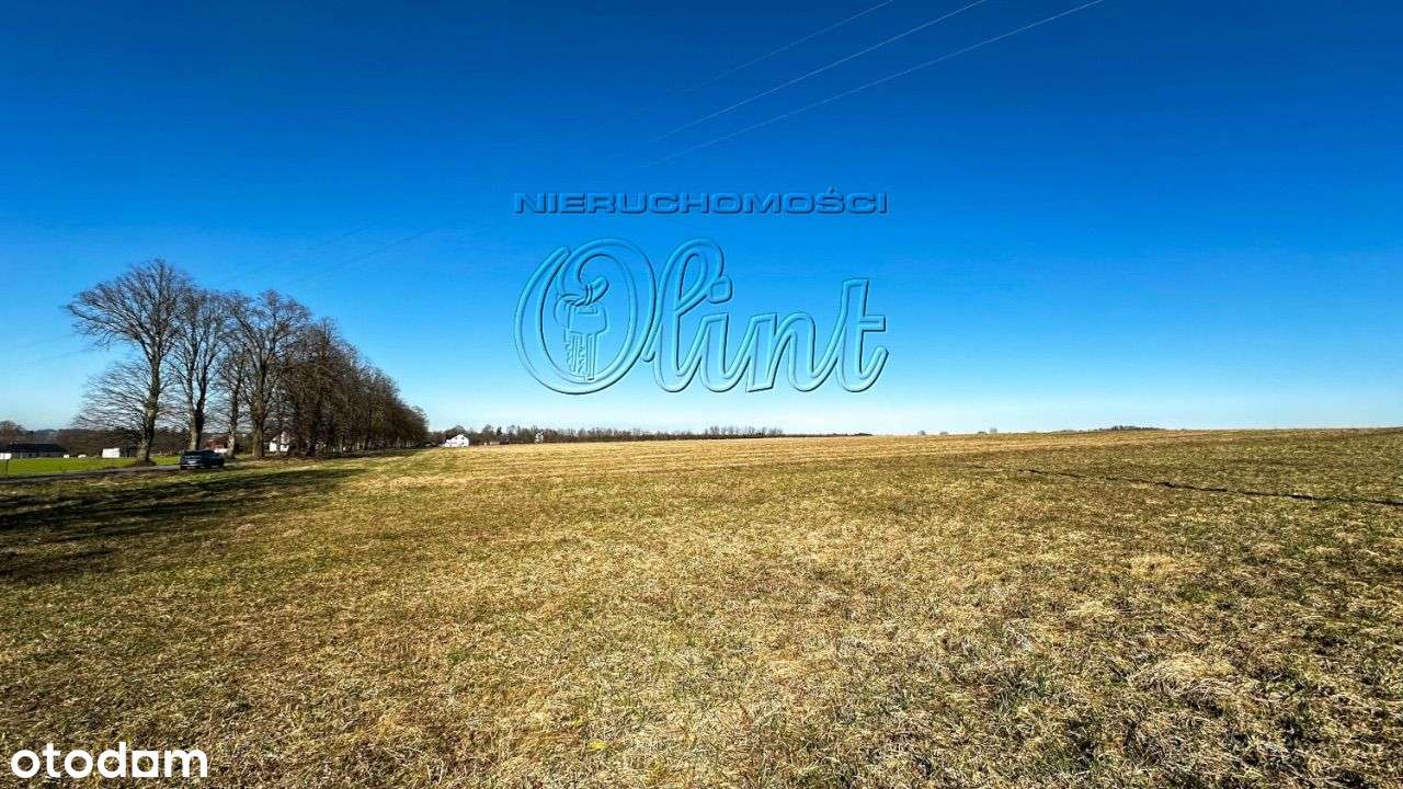 Wilkowo Nowowiejskie - działki rolne sprzedam - Pełny obrazek: 5/7