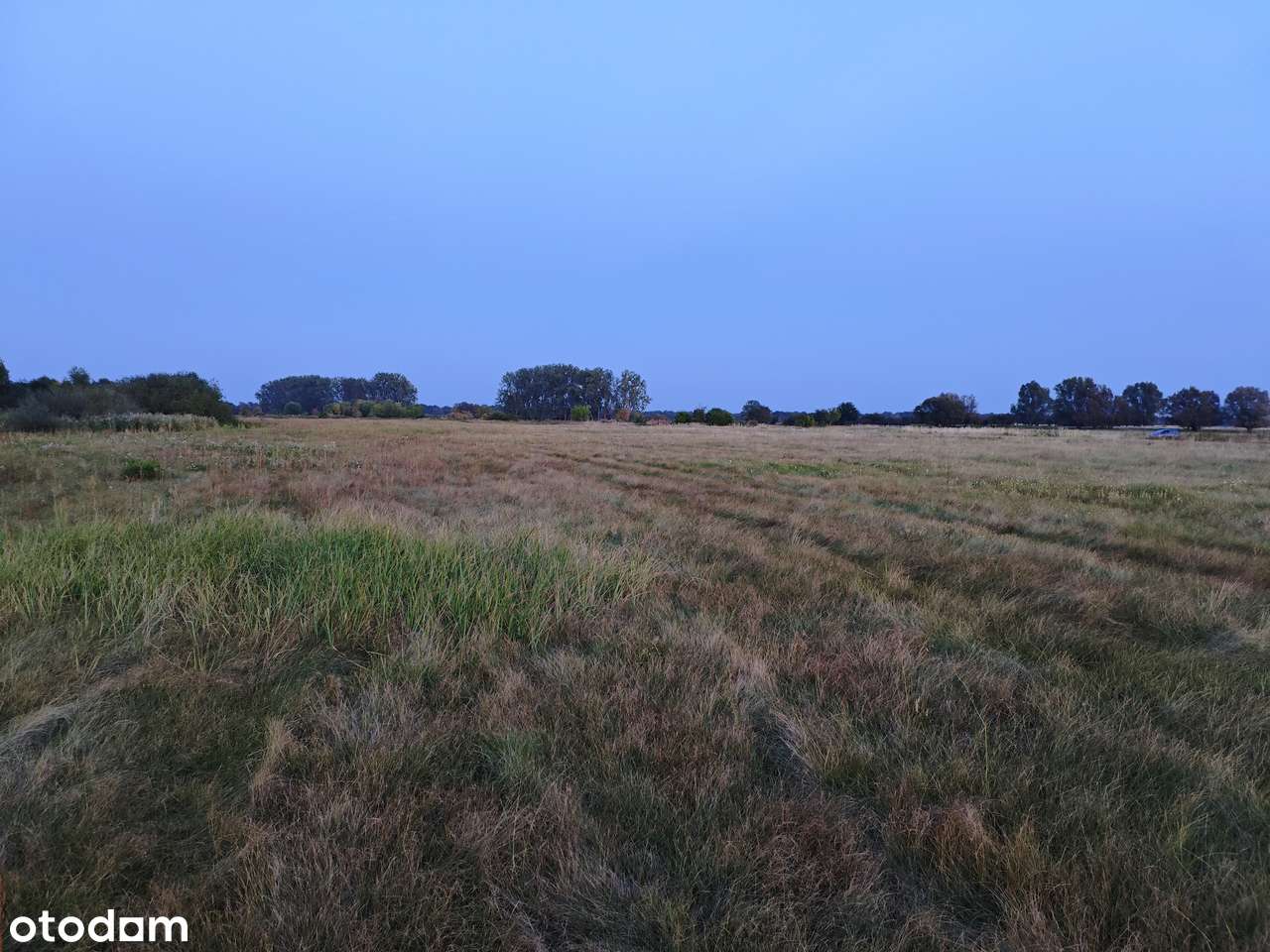 Łąka nad rzeką Wartą pomiedzy Górkami a Santokiem o pow. 1,52 ha - Pełny obrazek: 2/3