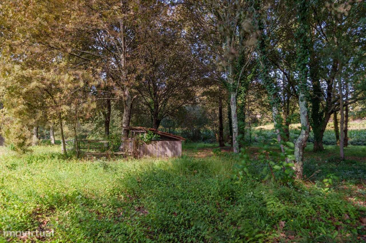 Moradia T4 em UL – Oliveira de Azeméis!-38