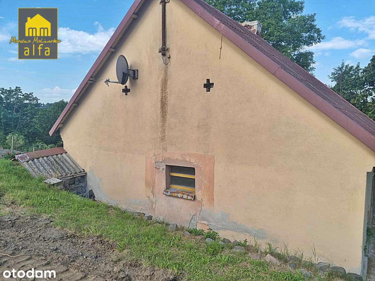 Nowe*Nowy Świat*Działka 3773m2*OD Zaraz-11