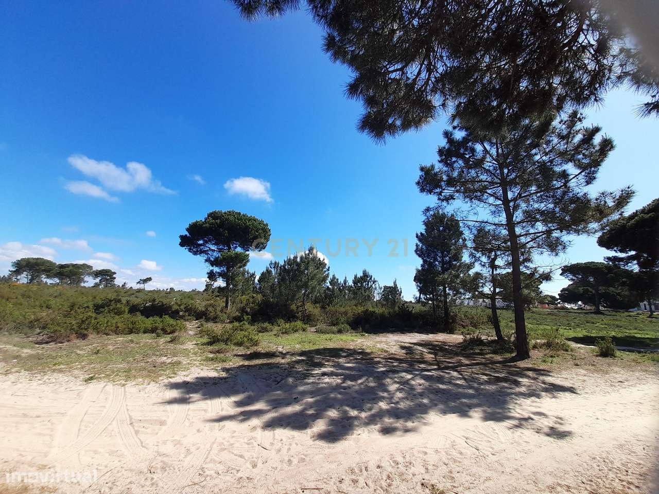 Terreno - Meco- Torrôes - Grande imagem: 2/9