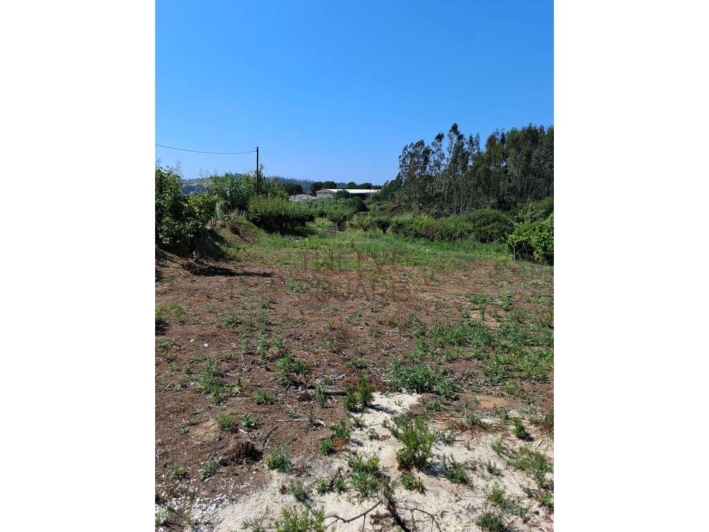 Terreno para Construção com Projeto Aprovado licença de construção ...-6