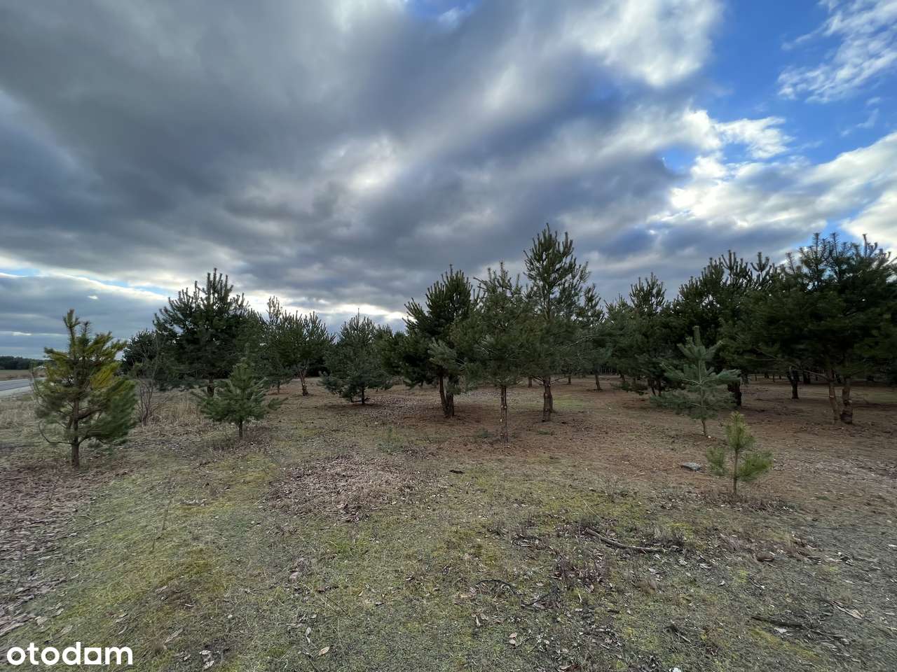 Działki budowlane pośród jezior i lasów-4