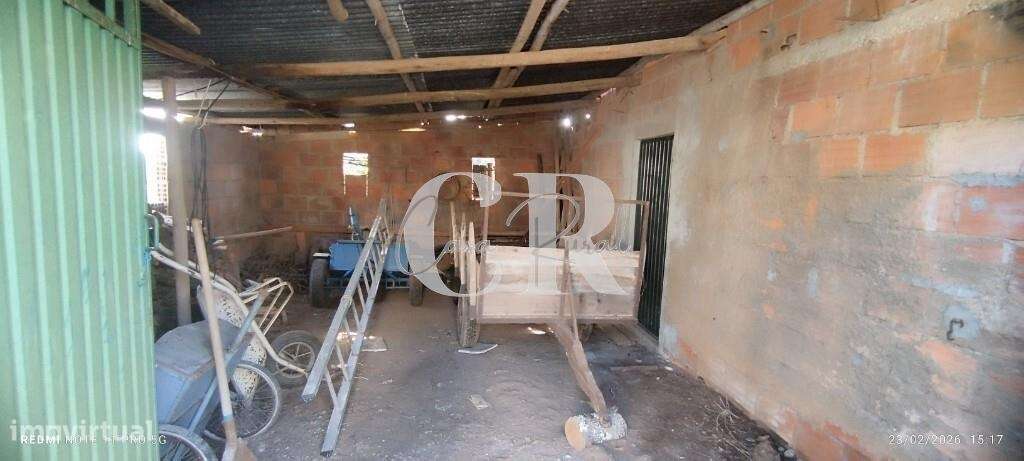 Moradia T3 com vários anexos, terreno e poço-38