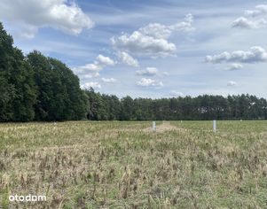 Działka budowlana przy lesie, ogród od południa