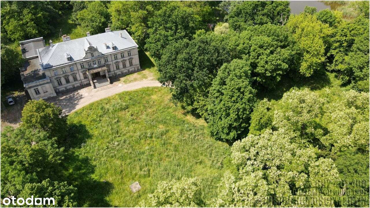 pałac w Niegolewie z parkiem 17 ha w tym rola 6 ha-7