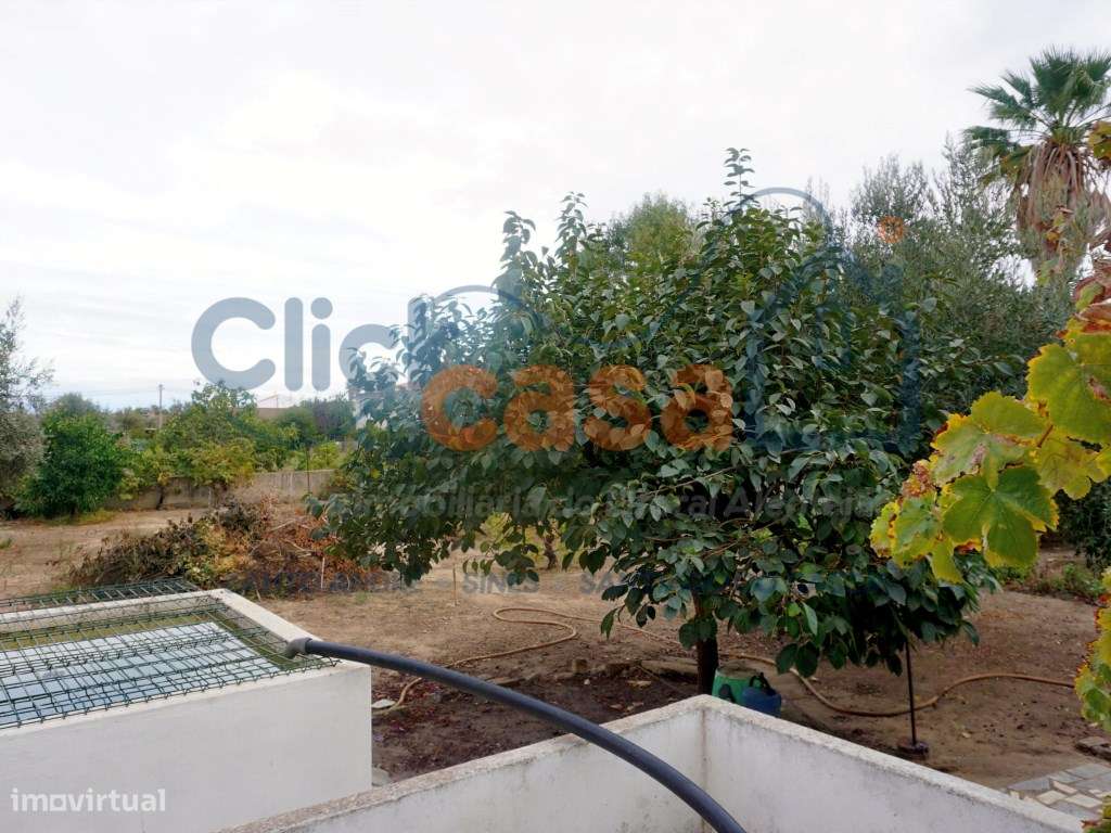 Oportunidade Única: Moradia T2 com Quintal de 415m² em Ermidas-Sado-12