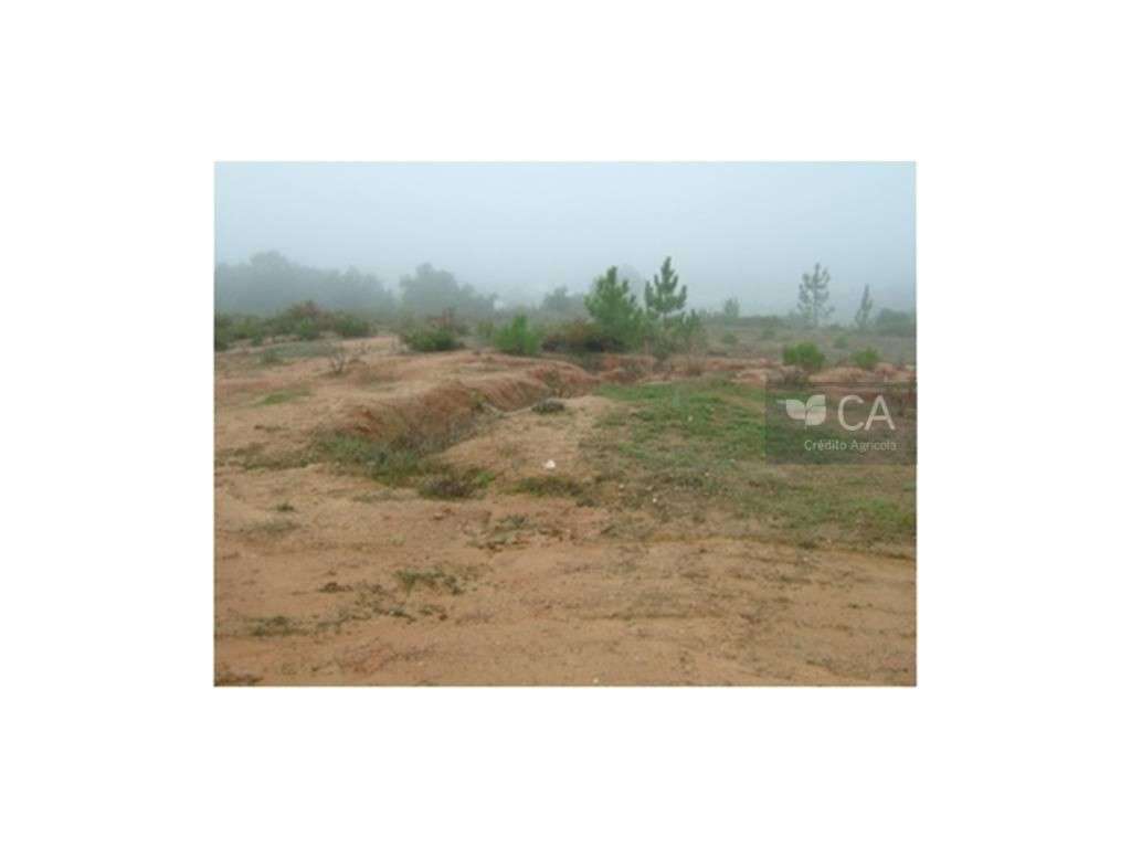 Prédio Rústico Urbanizável - Grande imagem: 4/4