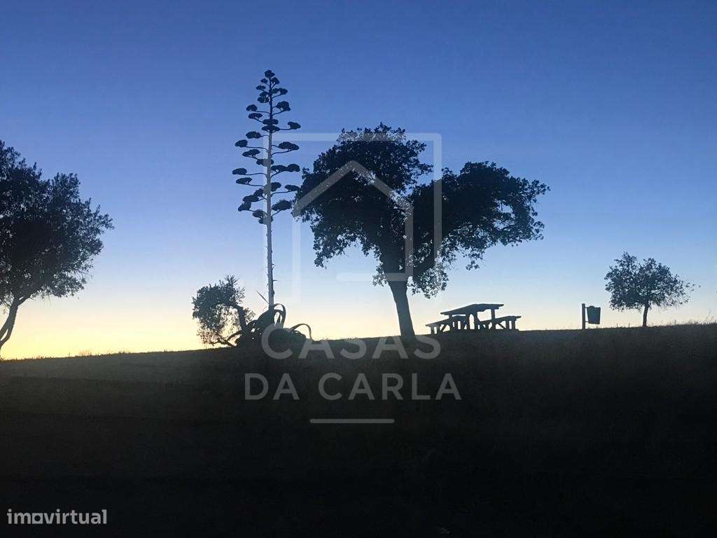 Moradia com 8 divisões e com quintal em Vila Alva-20