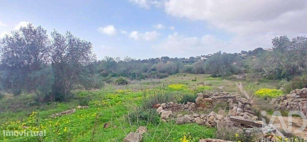 Moradia térrea T3 em Conceição e Estoi de 85 m2 - Grande imagem: 3/17