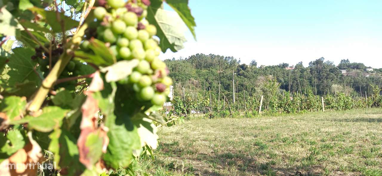 Terreno com 2600m2 em Viseu, zona de construção H2 com Poço - Grande imagem: 4/14