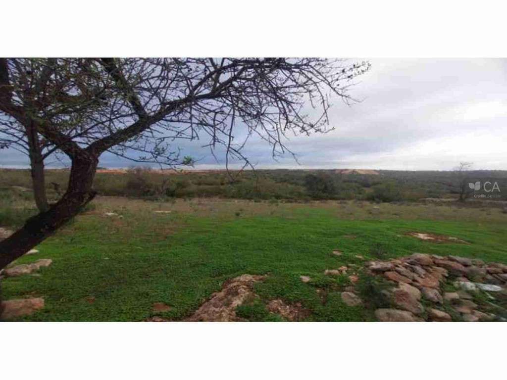 Prédios rústicos e mistos com ruinas - Grande imagem: 4/4