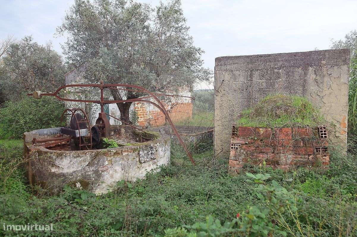 Terreno  para venda - Grande imagem: 4/11