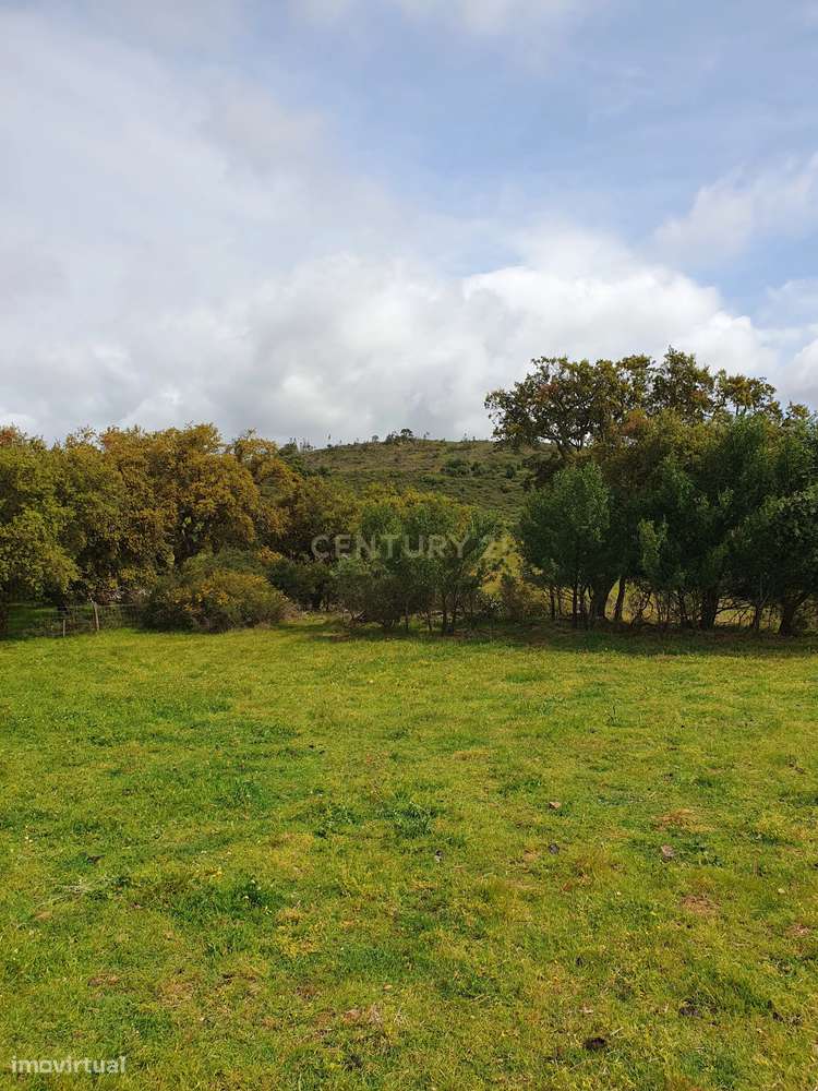 Terreno Urbano na Serra D`Ossa Redondo - Grande imagem: 4/18