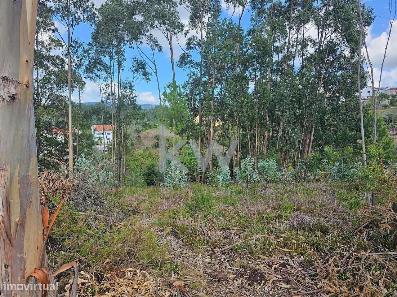 Terreno Rústico | Casal do Lobo | Santo António dos Olivais | Coimbra - Grande imagem: 5/8