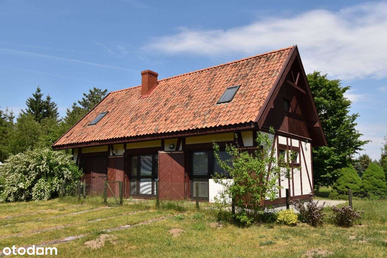 Urokliwe siedlisko Pilchy nad jeziorem Roś - Pełny obrazek: 5/20