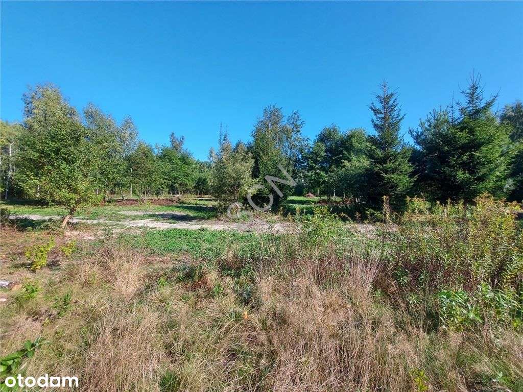 Działka W Sąsiedztwie Lasu - Pełny obrazek: 4/6