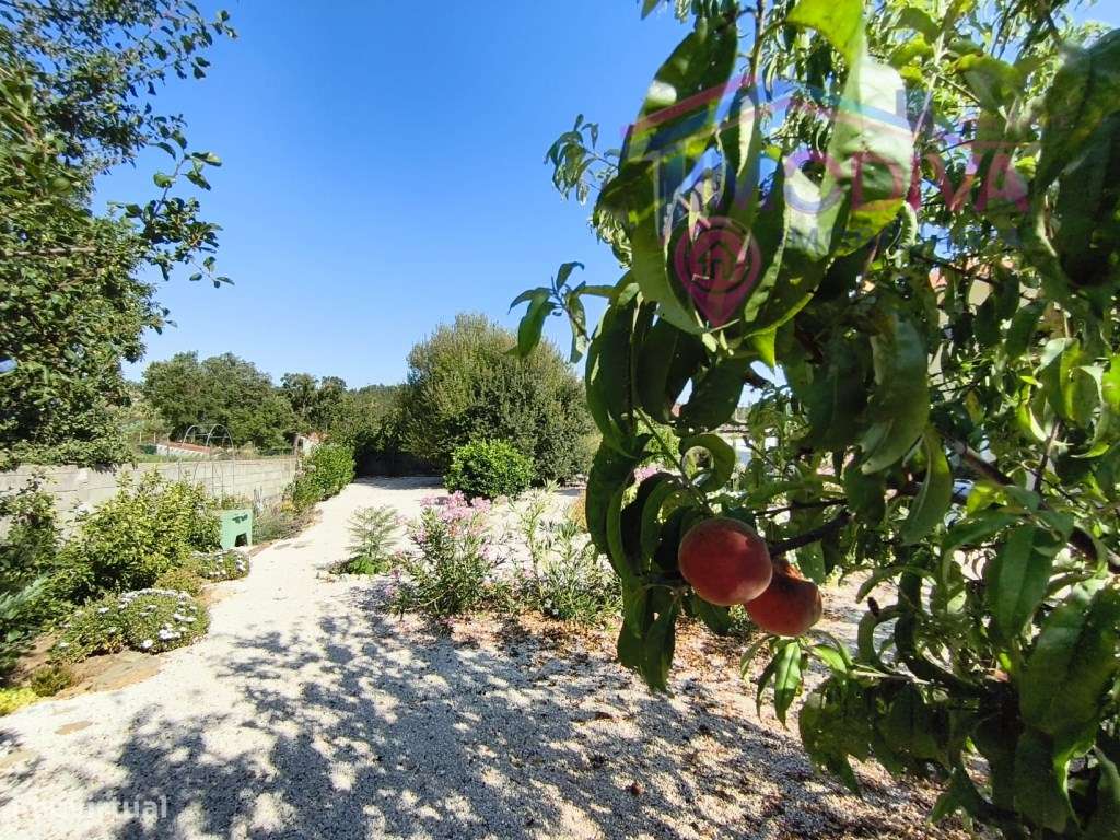 Moradia T3 recentemente renovada, com jardim em Graça, Pedrogão Grande-53