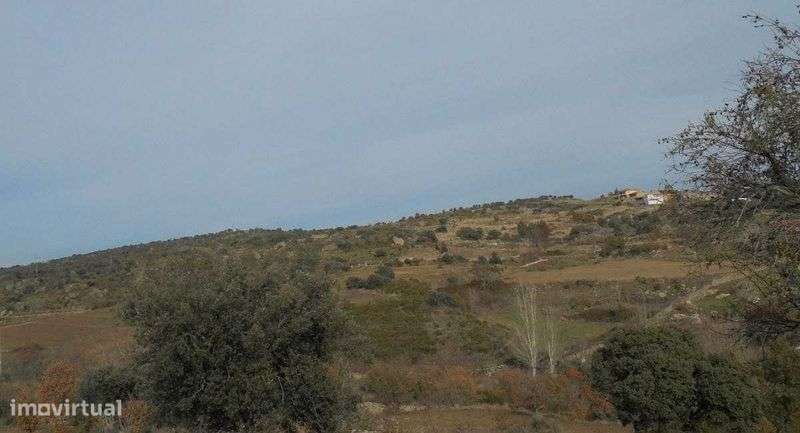 Moradia V3, 2 pisos, 3 frentes com terreno para jardim e/ou quintal - Grande imagem: 3/3