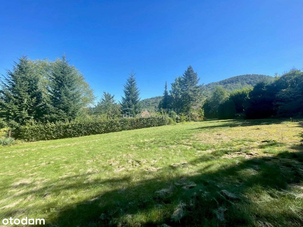 Pięknie, cicho, zielono-0