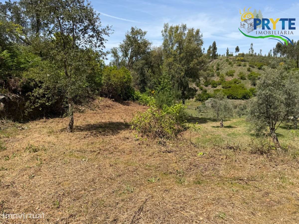 Terreno com uma ruína não registada a 6 quilómetros da Sertã-20
