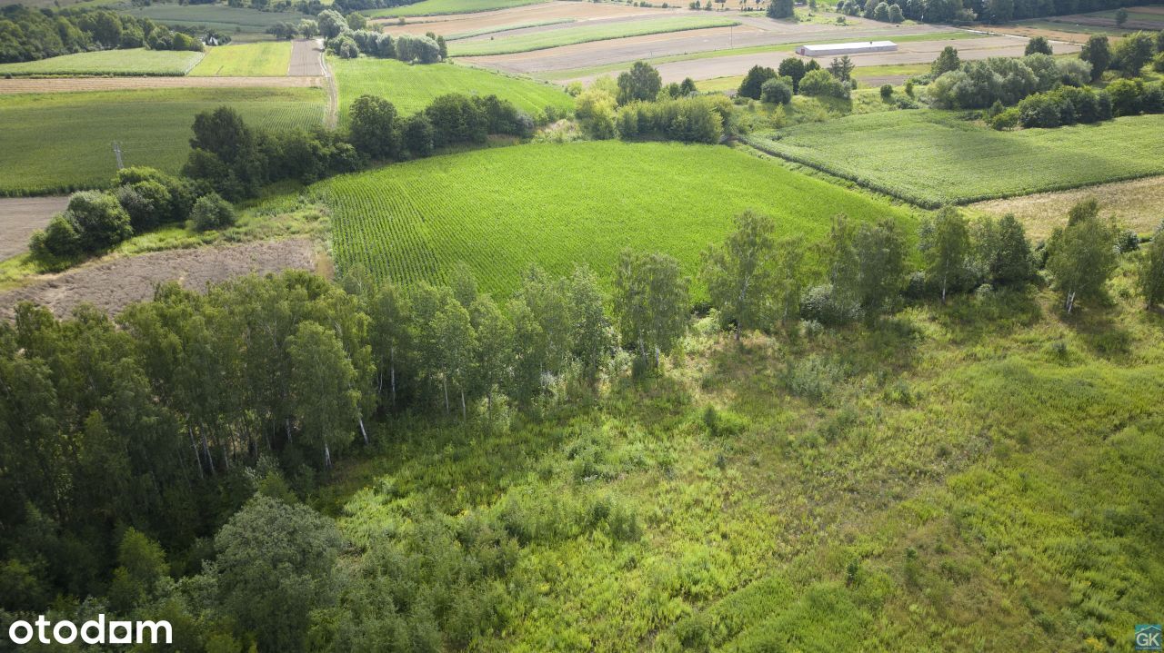 Działka inwestycyjna w Piekarach Śląskich