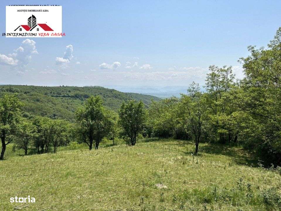 Teren extravilan 28152 mp de vanzare la 7 km de Alba Iulia - Imagine principală: 5/6