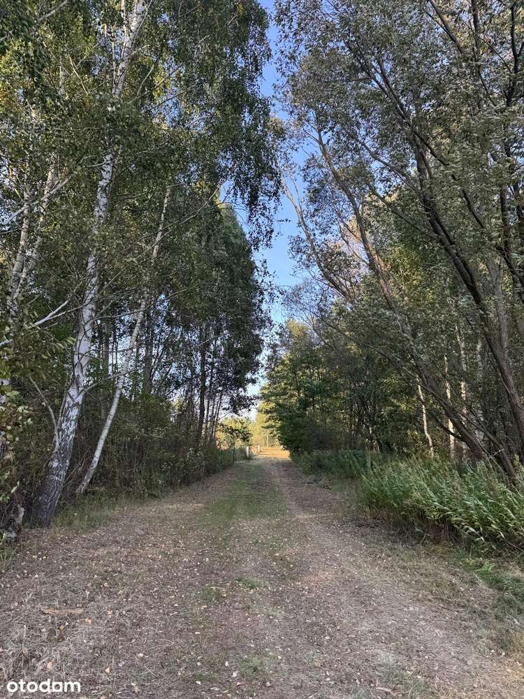 Kuklówka Radziejowicka. Działka budowlana w atrakcyjnej cenie!-4