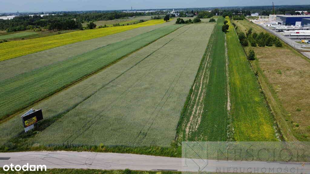 Działka inwestycyjna 2,9 Ha Ujrzanów - Pełny obrazek: 4/4