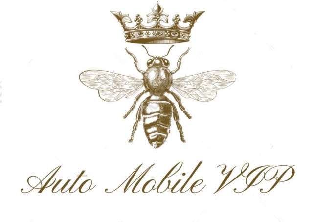 AUTO MOBILE VIP logo