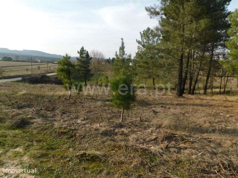 Terreno Rústico / Fundão, Enxames - Grande imagem: 1/5