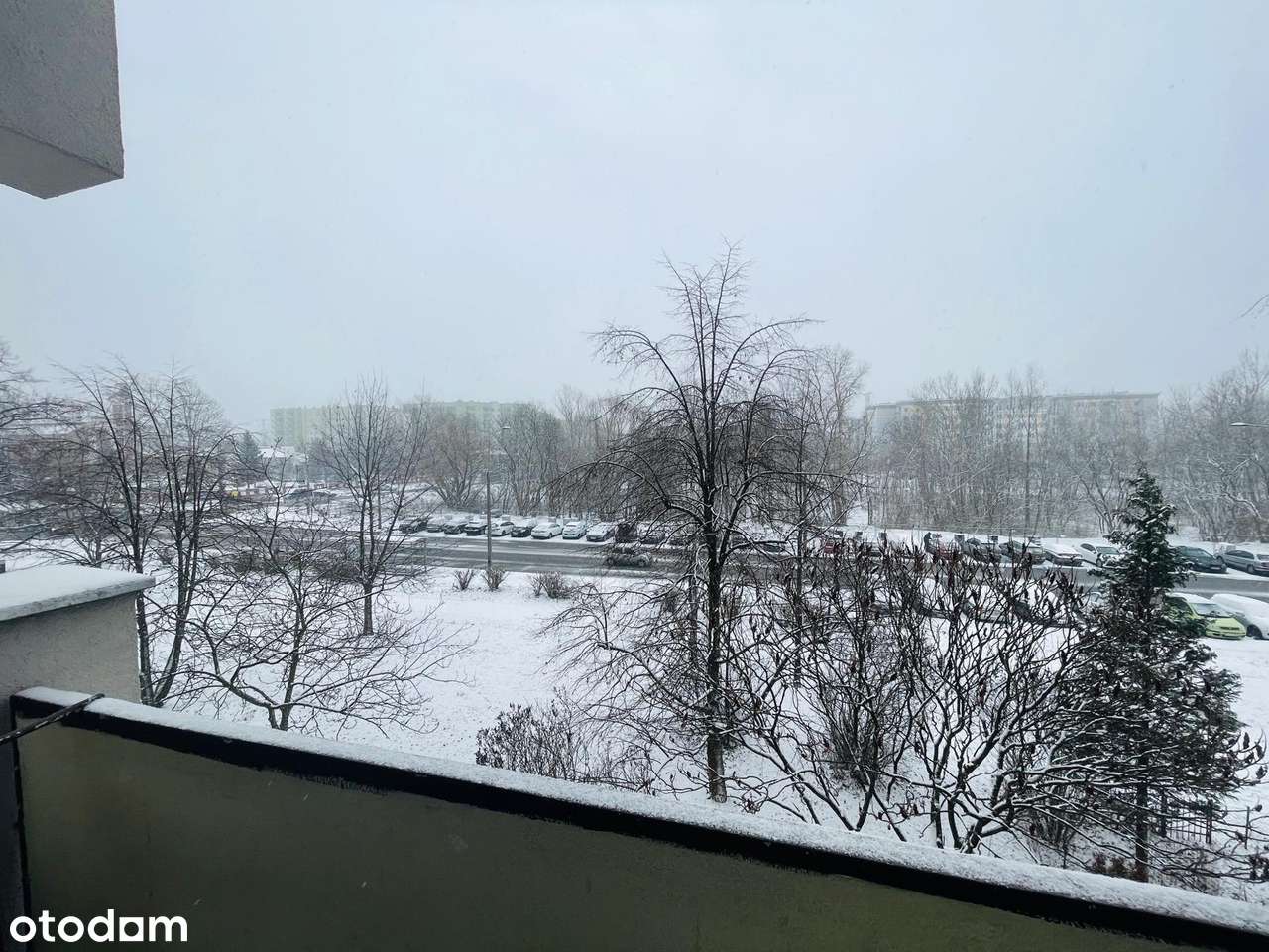 Bezpośrednio 2‑pokojowe z balkonem, komórką lokatorską i piwnicą-6