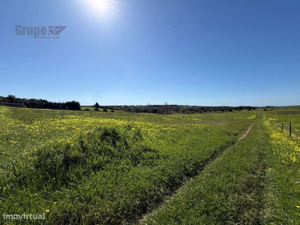 Propriedade Exclusiva em Sesimbra: Moradia T3 + Projeto Aprovado e ...-8