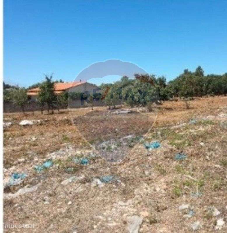 Terreno  para venda - Grande imagem: 4/4