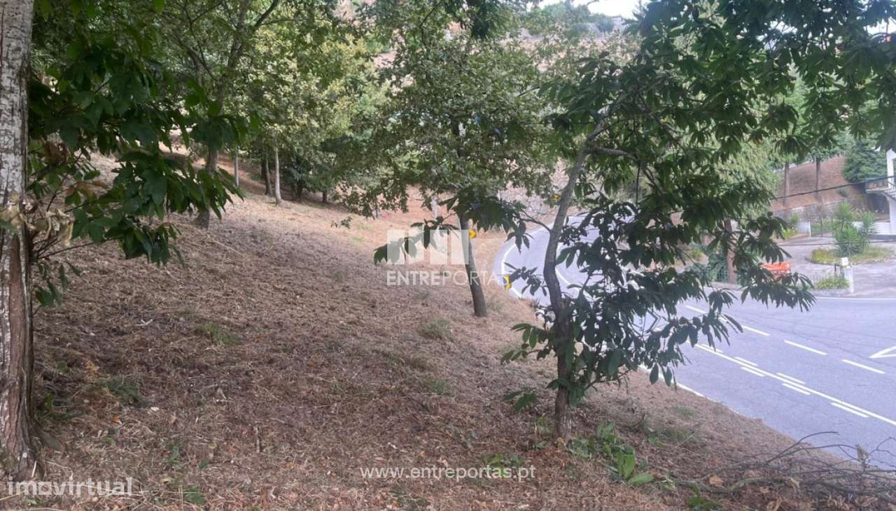 Venda de Terreno, São João de Fontoura Resende - Grande imagem: 4/13