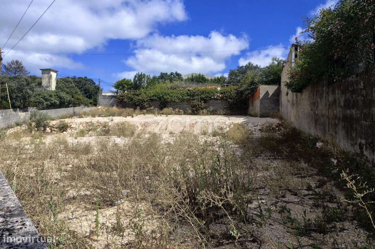 Dois lotes de terreno para construção em Mira de Aire, Porto de Mós-13